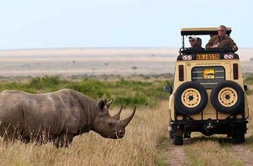5-Daagse Ol Pejeta, Lake Nakuru en Masai Mara Wildlife Privé Safari in Kenia