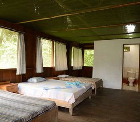 4 Tage Chullachaqui Eco Lodge Tucan Safari in Iquitos, Loreto, Peru - Photo 3