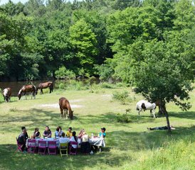 8 Day Atlantic Coast Trail Horseback Riding Tour in Mimizan, Landes, France - Photo 3