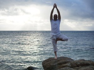 200-Stunden Selbstbestimmte Online Multi Style Yogalehrer Ausbildung