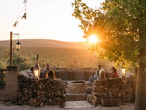 8 Day Sacred Plant Medicine Retreat in Andalusia, Spain with Sound Bath and Somatic Practices