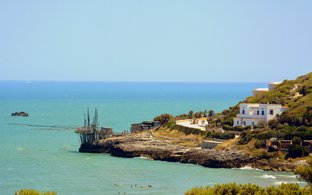 Puglia Retreats & Trips
