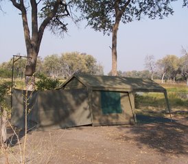 4 Tage Khwai Concession und Moremi Game Reserve Safari in Botswana mit Mokoro-Fahrt - Photo 4
