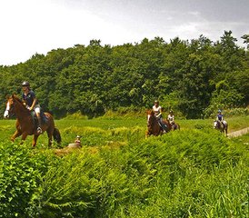 8-Daagse Brigands Path betoverende Italiaanse plattelands-paardrijtocht met hacks en volledige dag, Toscane, Italië - Photo 5