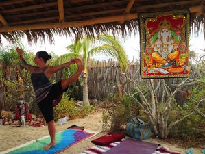 13 Day 200-Hour YTT Yogic Lifestyle Intensive for Women in Baja California Sur