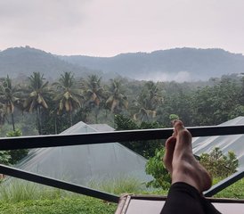 16 Tage Kerala Reise mit Yoga und Ayurveda Retreat zum Jahresstart 2027 in Varkala, Indien - Photo 5