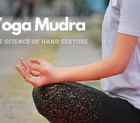 7 Day Online Yoga Mudra Workshop With 90-Minute Live Sessions - Photo 4