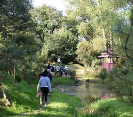 3 Day Women's Summer Weekend Retreat: Yoga, Nature, and Deep Rest in Norfolk, UK - Photo 3
