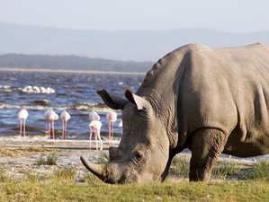 3 Day Tanzania Safari at Serengeti National Park