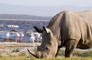 3-Tage Tansania Safari im Serengeti National Park