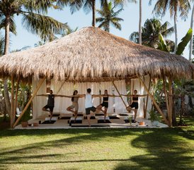 88 Tage Aktives Yoga Retreat mit Elefantensafari, Kochkurs und sozialem Engagement in Sri Lanka - Photo 1