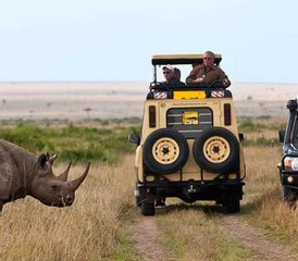 115 jours en safari de camping du meilleur du lac Manyara, du Serengeti et du Ngorongoro en Tanzanie - Photo 1