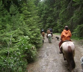 7 Day Wild Riding Holiday in Rila National Park, Bulgaria - Photo 2