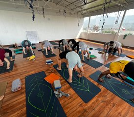 825 Day 200-Hour Hatha, Ashtanga, Vinyasa Yoga Teacher Training with Ayurveda in Rishikesh, India - Photo 1