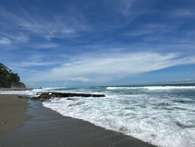 8 Day Pre-Holiday Reset and Recenter Retreat in Osa Peninsula, Costa ...