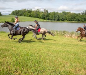 4 Day Exhilarating Horse Riding Holiday at Galiny Palace, Gmina Bartoszyce, Poland - Photo 3