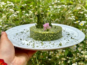 6 Day Wild Alpine Retreat: Vegan Cooking, Fermentation, Foraging and Trekking in Rovetta, Italy