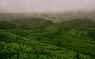 Munnar Retraites et Voyages