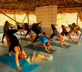 22-Daagse 200-Uur traditionele Kundalini Yoga Docentenopleiding in Arambol, Goa, India - Photo 3