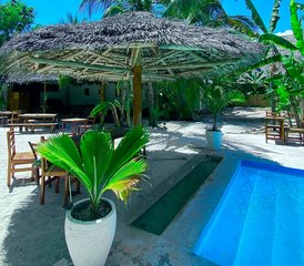 7 Day Jambiani Kitesurf Camp in Zanzibar, Tanzania - Photo 5