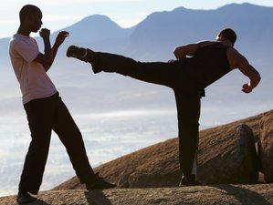 7 Day Kickboxing Bootcamp Holiday Training in Valencia, Spain