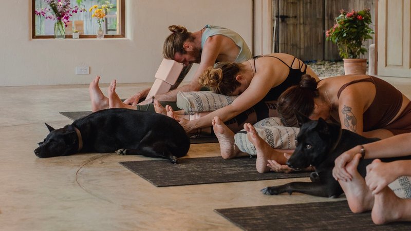 7 jours en formation de professeur de yin yoga 60 heures à Pai, Thaïlande