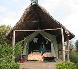 3 Tage Masai Mara mit einer Heißluftballon Safari - Photo 5