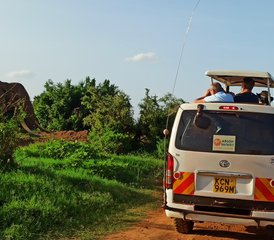 7 días de aventura de safari desde Masái Mara hasta Mombasa en Kenia - Photo 4