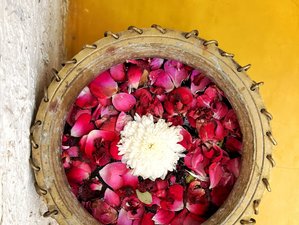 9 Day Women's Journey Transformational Detox Retreat with Yoga in Rishikesh, Uttarakhand, India