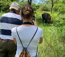 17 Tage Atemberaubende Big-Five-, Schimpansen- und Gorilla-Trekking-Safari in Uganda - Photo 1