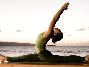 7-Daagse Ayurveda Yoga Retreat in Kerala
