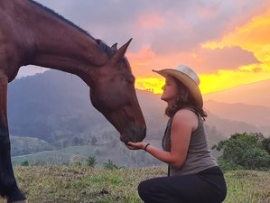 28 Day Natural Horsemanship & Classical Riding in Tucurrique, Cartago, Costa Rica