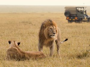4 Day Umkumbe Luxury Safari Lodge Holiday in Kruger National Park, South Africa