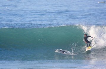 7 jours en stage de surf à Tamraght, Maroc