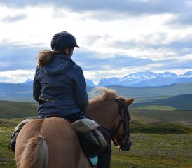 62 Tage Sommer Reiturlaub in den Bergen von Kebnekaise, Schweden - Photo 1