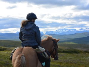 2 Days Summer Horse Riding Holiday in the Mountains of Kebnekaise, Sweden