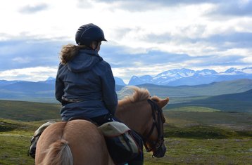 2 Tage Sommer Reiturlaub in den Bergen von Kebnekaise, Schweden