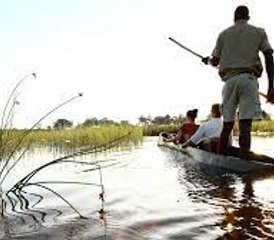 11 Tage Namibia Big-5 Wildtier-Safari mit Chobe Nationalpark Tour - Photo 2