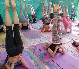 1030 Tage 300-Stunden Multistil-Yogalehrerausbildung in Goa, Indien - Photo 1