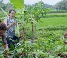 6 Day Life-Transforming Personalized Yoga and Raw Food Holiday in Ubud, Bali, Indonesia - Photo 2