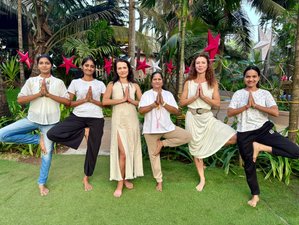 11 Day Supercharged 100-Hour Yoga Immersion in Koh Samui, Thailand