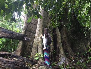 10 Day Plant Medicine and Yoga Retreat in Bolivian Amazon