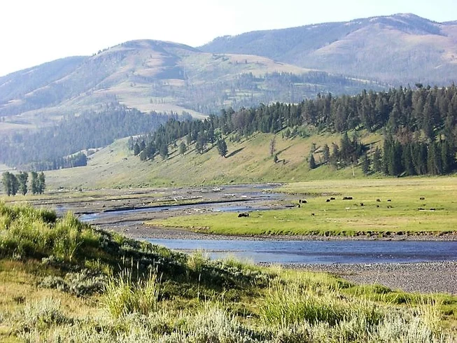 13 Day Self-Guided Lynette's Wild Frontier Motorcycle Tour in USA via Yellowstone National Park photo 8