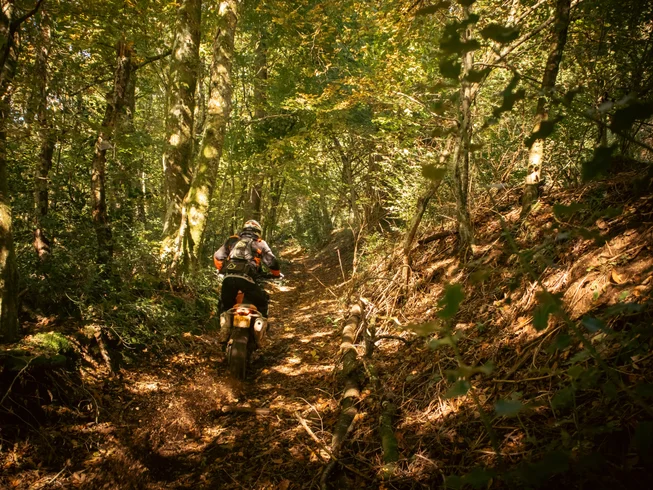 4 Day Guided Adventure Motorbike Tour in Morvan, France photo 10