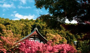Región de Kansai Retiros y Viajes