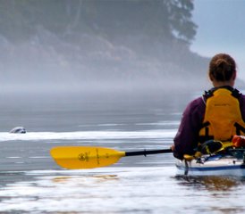 26 Day Johnstone Strait and Broughton Archipelago Expedition with Whale Watching in Canada - Photo 1