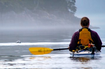 6 jours expédition kayak & baleines, Johnstone & archipel Broughton, Canada