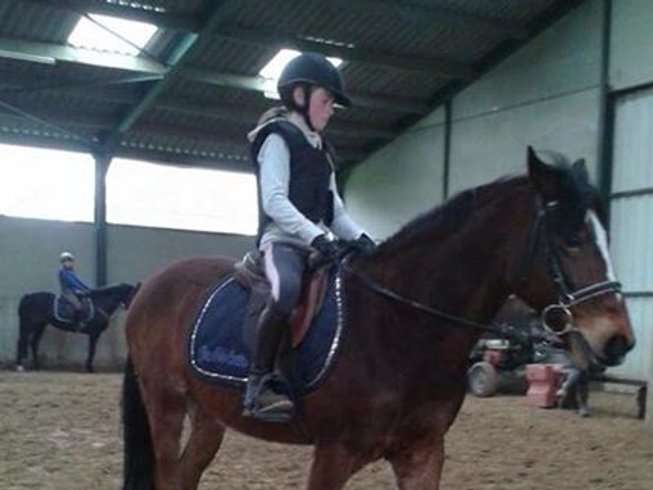 Top 10 Kids Camps Horse Riding Holidays Worldwide