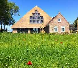 4-Daagse Relax en Remember Yoga Retreat op Geheim Waddeneiland in Noord-Holland - Photo 3