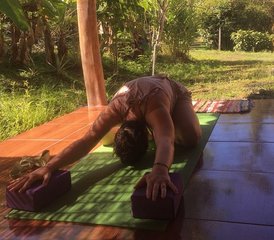 5 días de formación de profesorado de yin yoga de 30 horas nivel 2 en Puerto Viejo de Talamanca, Costa Rica - Photo 3